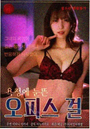 汉江以南剧集封面
